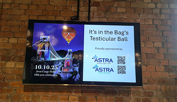 It’s in the Bag Testicular Ball